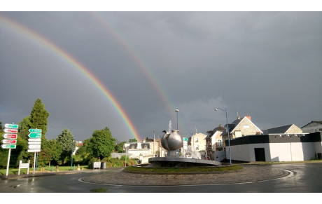 Bouquet Provincial... vos commentaires